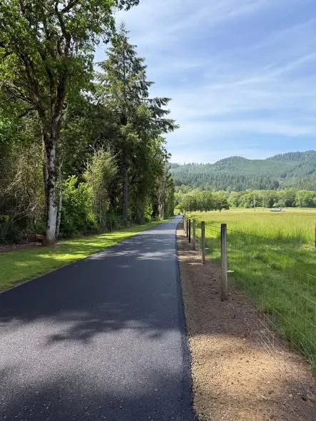 Straight paved lane along a fenced pasture